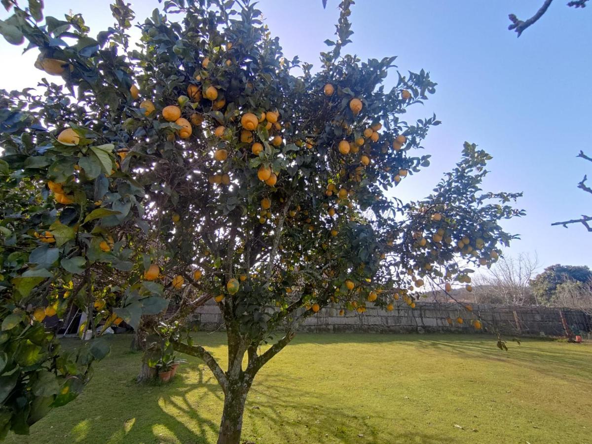 Casa Barros Villa Tui Dış mekan fotoğraf