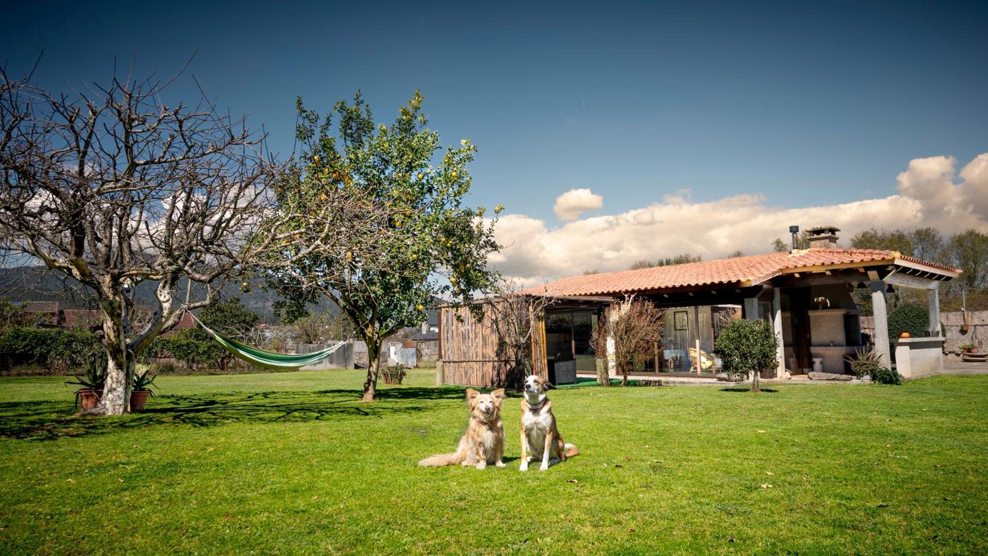 Casa Barros Villa Tui Dış mekan fotoğraf